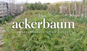 ackerbaum GmbH & Co. KG ackerbaum GmbH & Co. KG