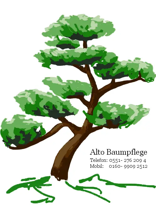Alto Baumpflege Alto Baumpflege
