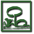 www.greenx.de www.greenx.de