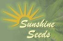 SUNSHINE-SEEDS SUNSHINE-SEEDS