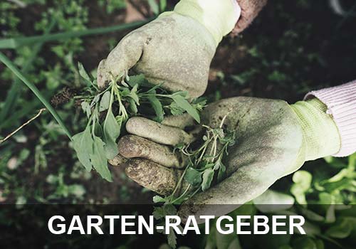 Garten-Ratgeber