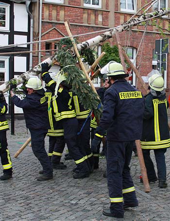 Ein Maibaum wird von der Feuerwehr aufgestellt