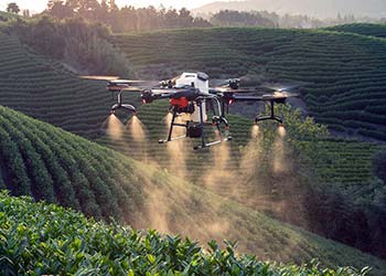 Pflanzenschutzmittel können mit Drohnen überall ausgebracht werden