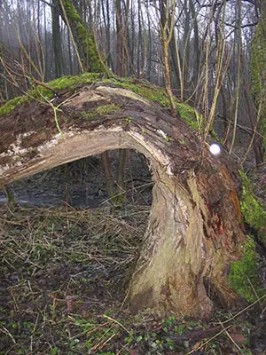 Schlauchknicken Schlauchknicken