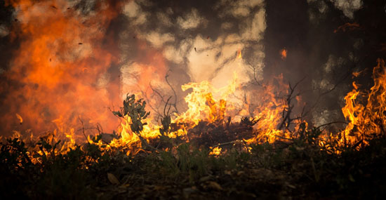 Waldbrand Waldbrand